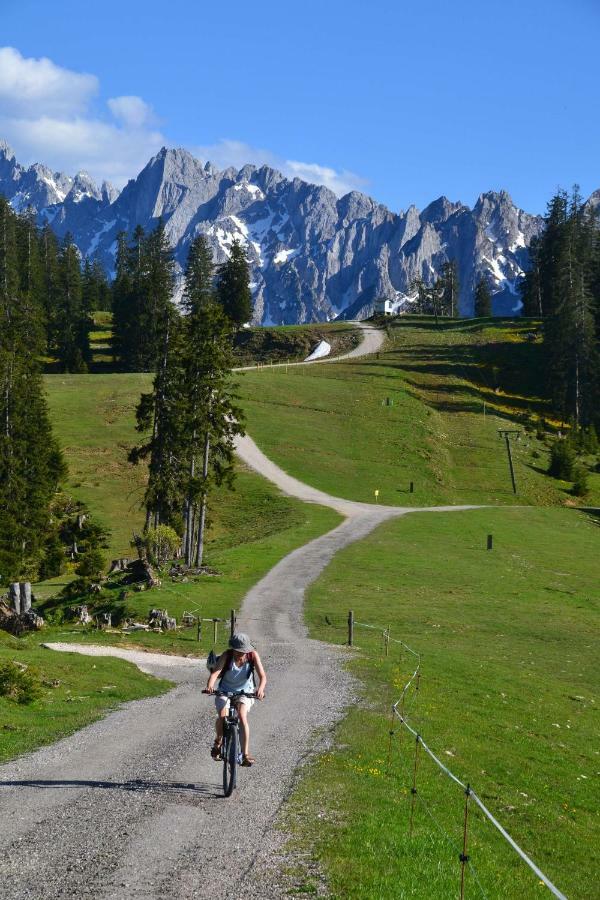 Pension Edelweiss Top21 Gosau Exterior photo