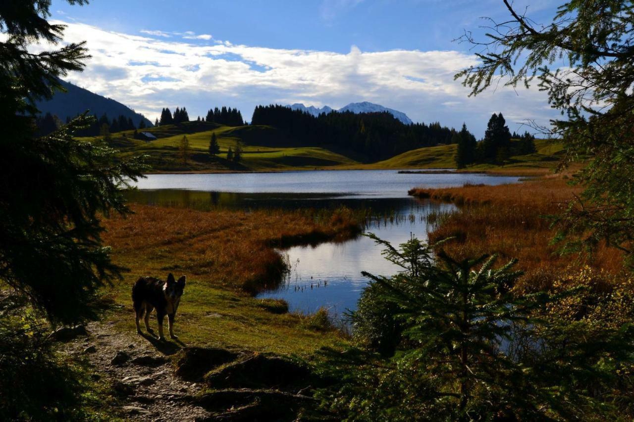 Pension Edelweiss Top21 Gosau Exterior photo