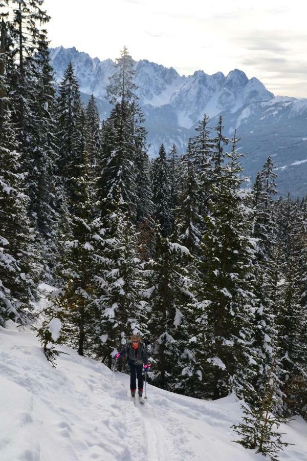Pension Edelweiss Top21 Gosau Exterior photo
