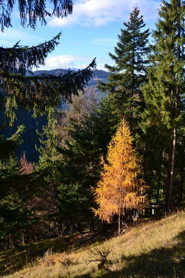 Pension Edelweiss Top21 Gosau Exterior photo