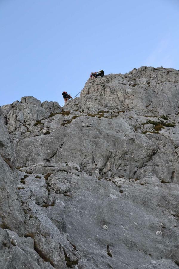 Pension Edelweiss Top21 Gosau Exterior photo